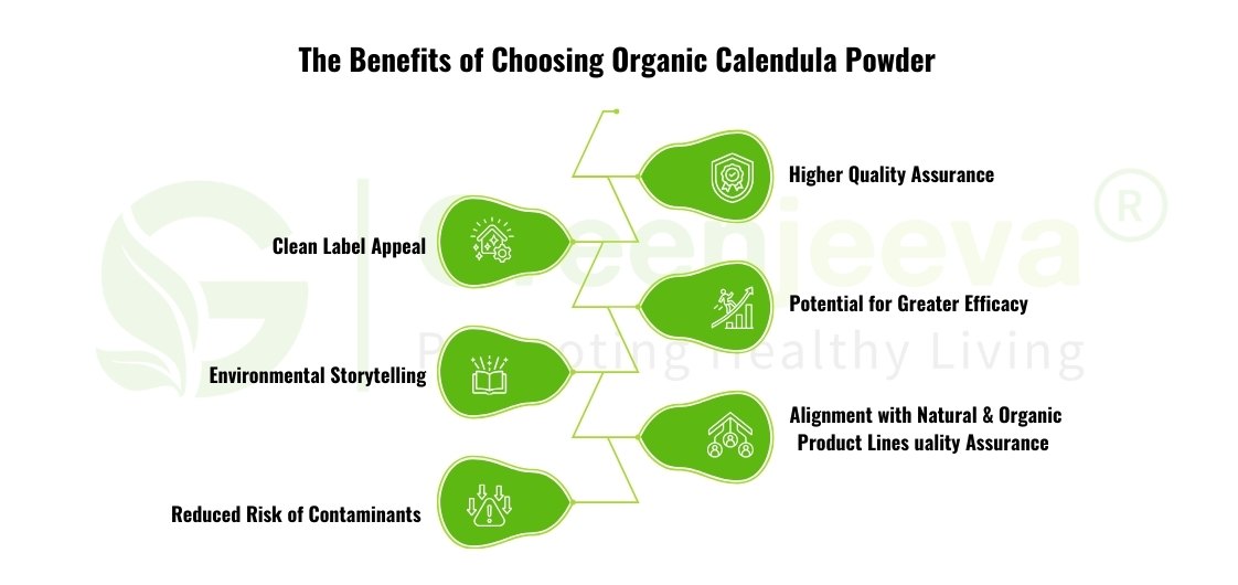 The Benefits of Choosing Organic Calendula Powder